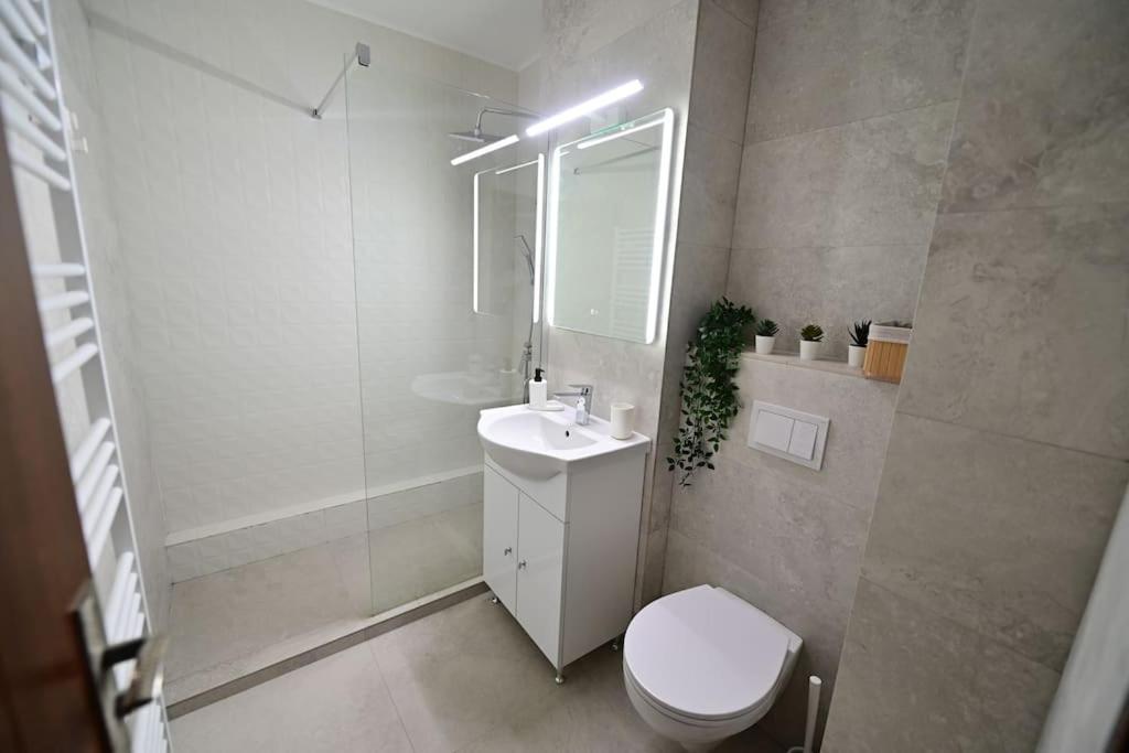Flh - Apartament Damar Sibiu Exterior photo